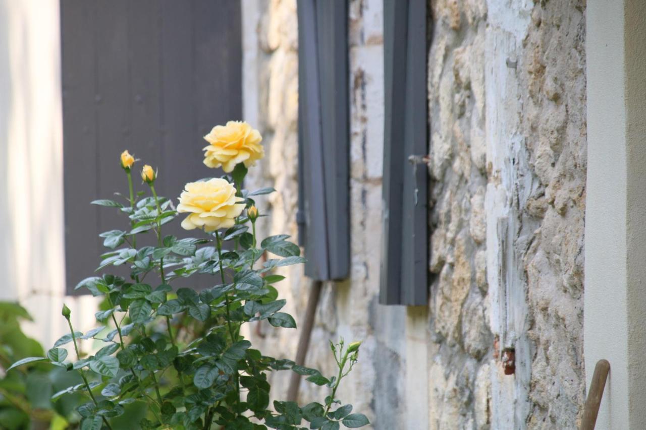 Le Bon Ami Villa Fronsac  Bagian luar foto